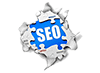 Search Engine Optimization