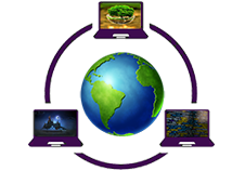 Ecommerce Business Competitor analysis